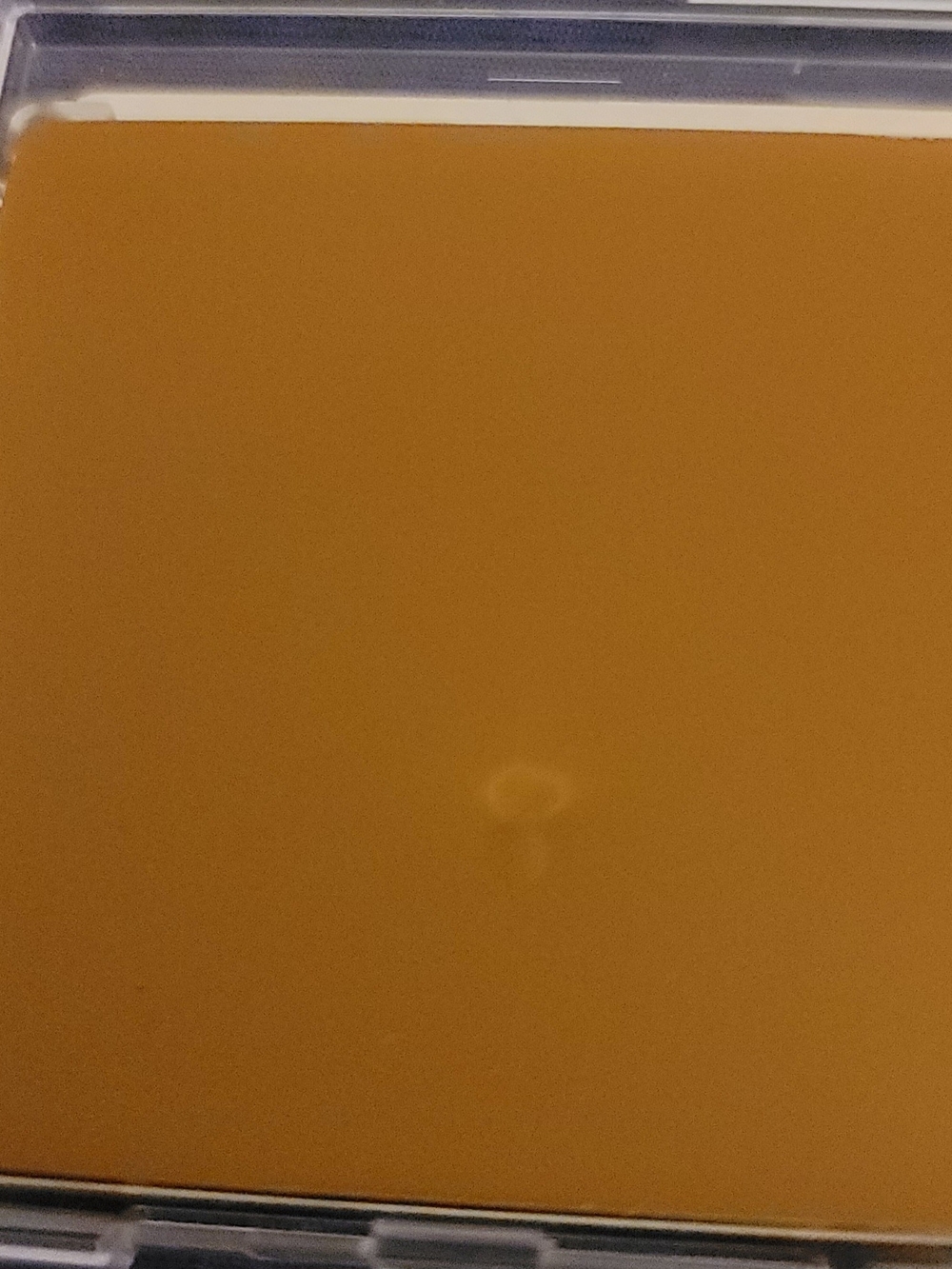 Mary Kay Endless Performance Creme-to-Powder Foundation Bronze 4 (DISCONTINUED) - Picture 4 of 5
